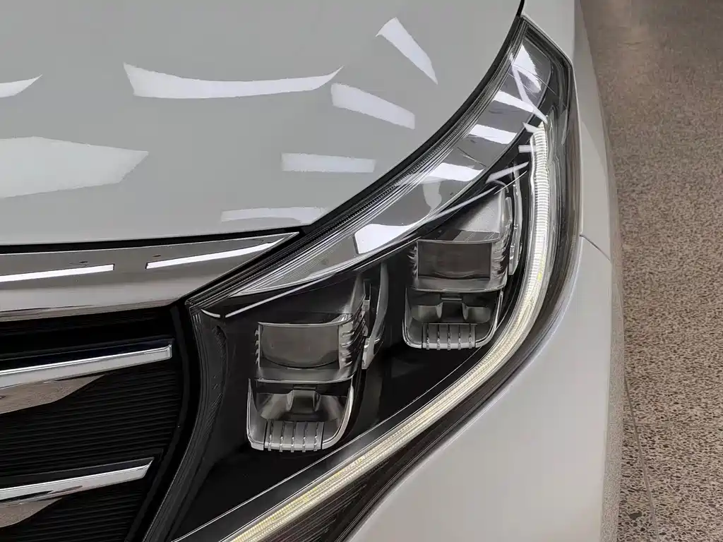 GAC Motor Trumpchi M8 — фото 10