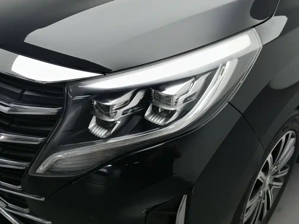 GAC Motor Trumpchi M8 — фото 7