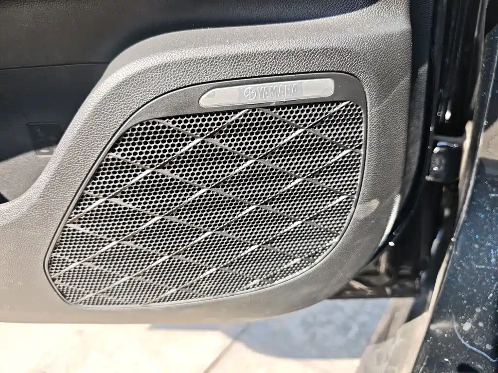 GAC Motor Shadow Leopard — фото 11