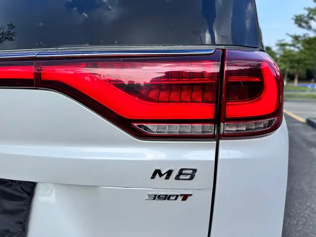 GAC Motor Trumpchi M8 — фото 20