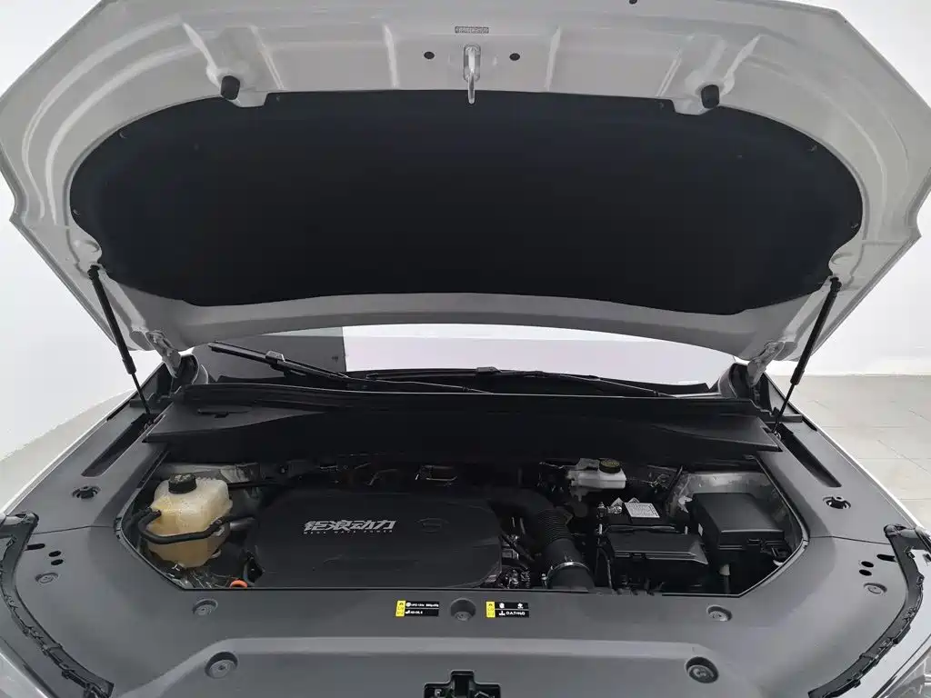 GAC Motor Trumpchi GS8 — фото 6