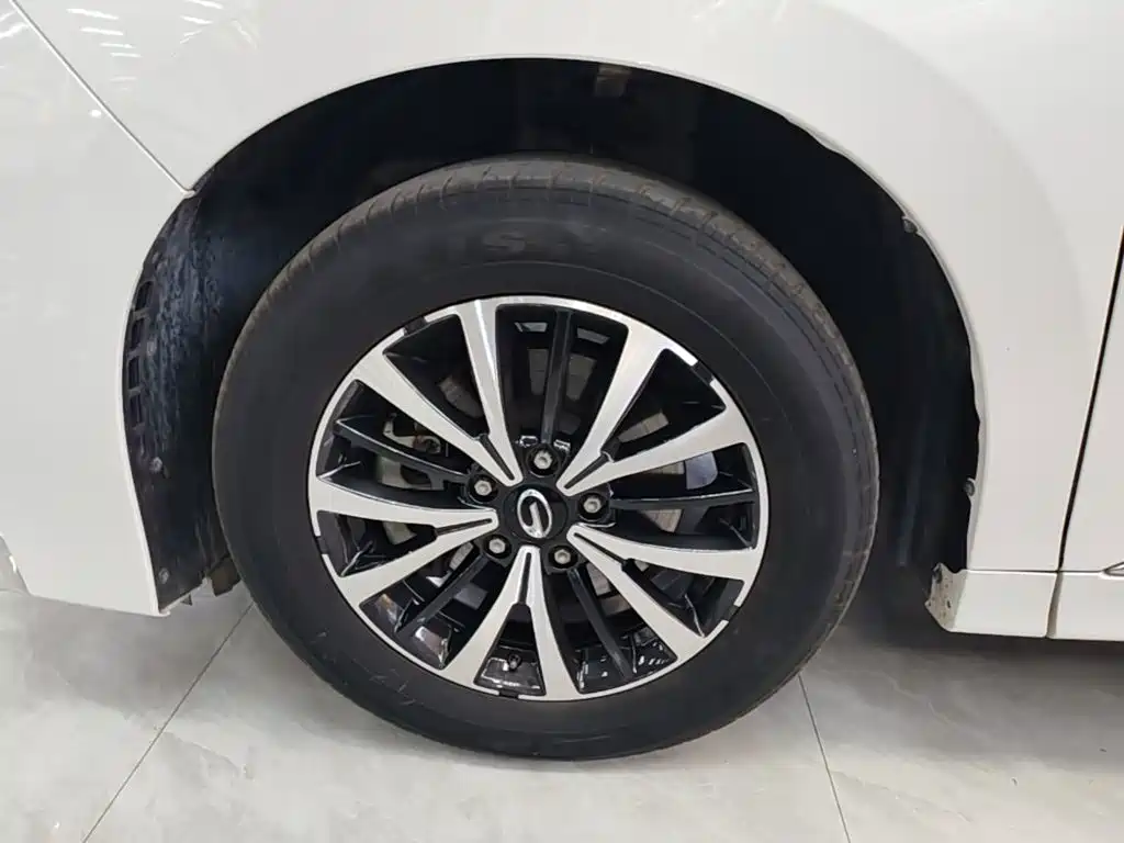 GAC Motor Trumpchi M8 — фото 23