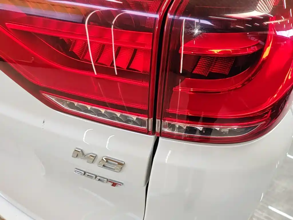 GAC Motor Trumpchi M8 — фото 8