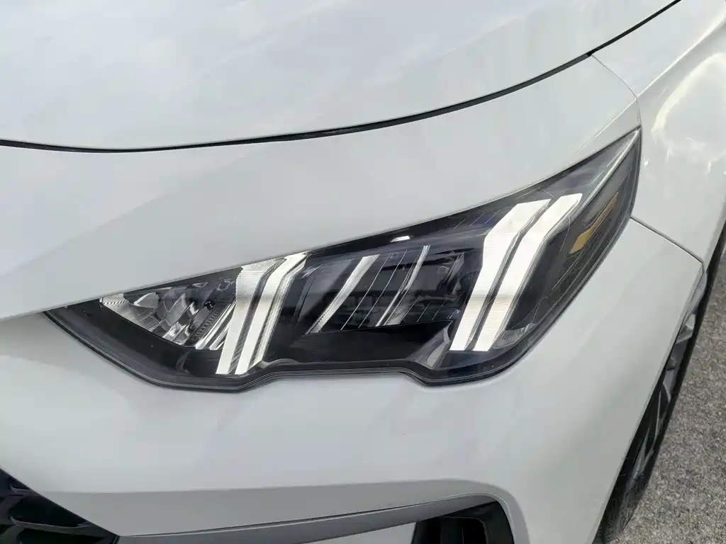GAC Motor Shadow Leopard — фото 13