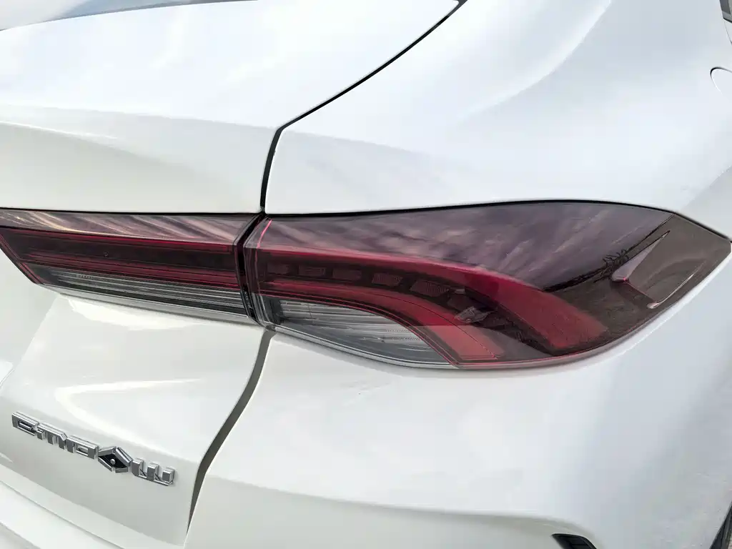 GAC Motor Shadow Leopard — фото 14