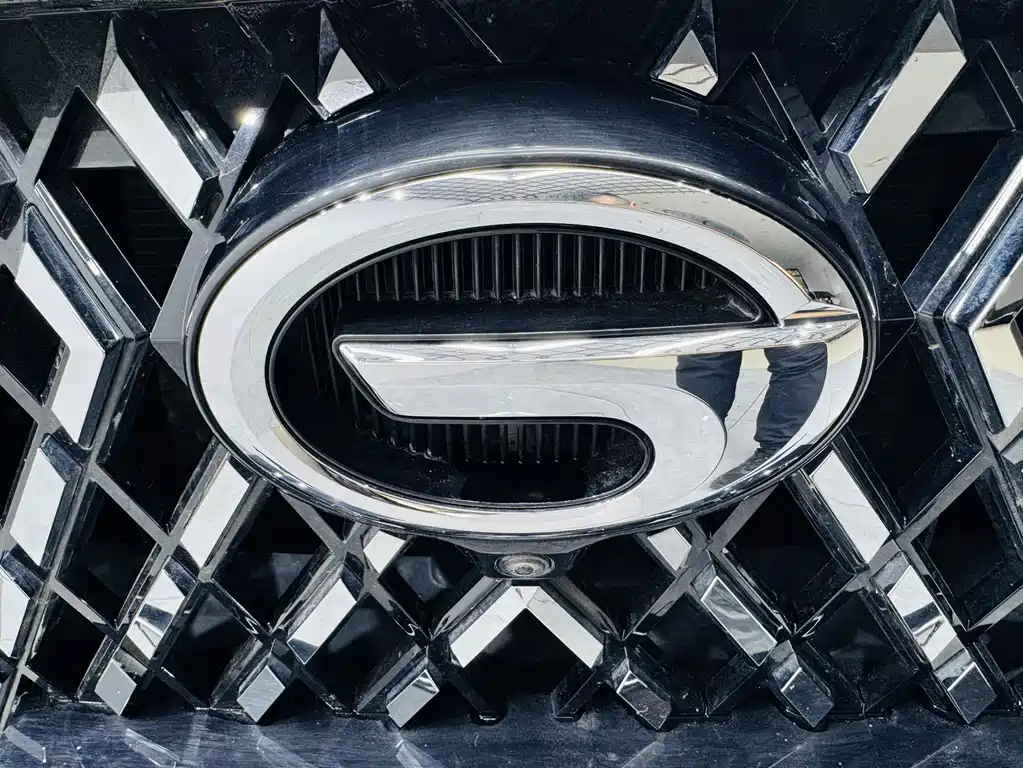 GAC Motor GS4 Plus — фото 16