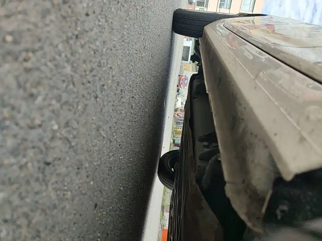 Galaxy Panda — фото 21
