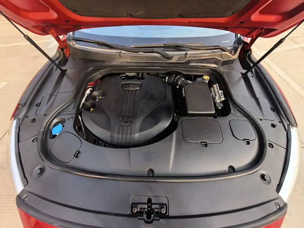 Geely Borui — фото 16
