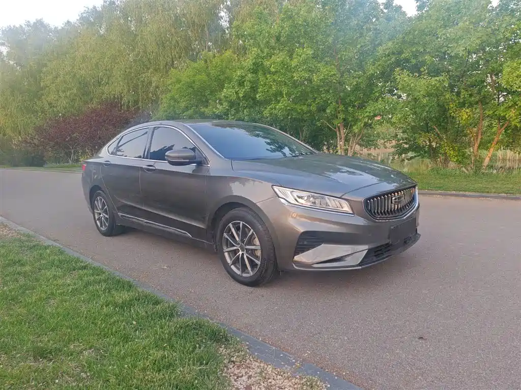 Geely Borui — фото 8
