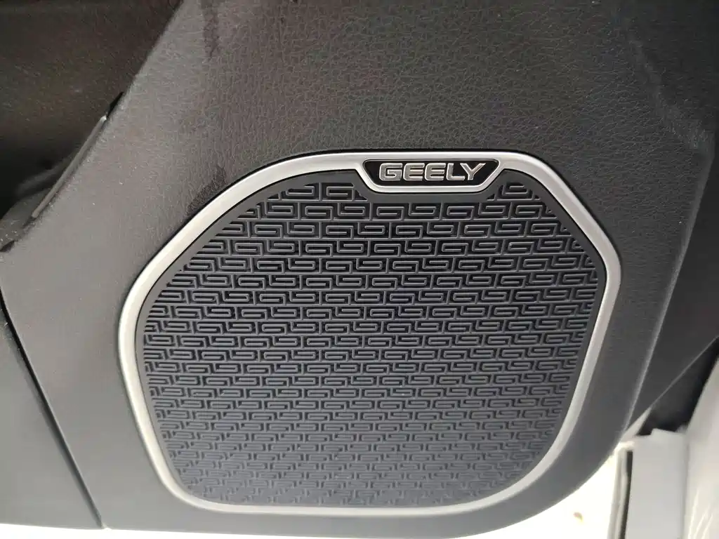 Geely Borui — фото 15