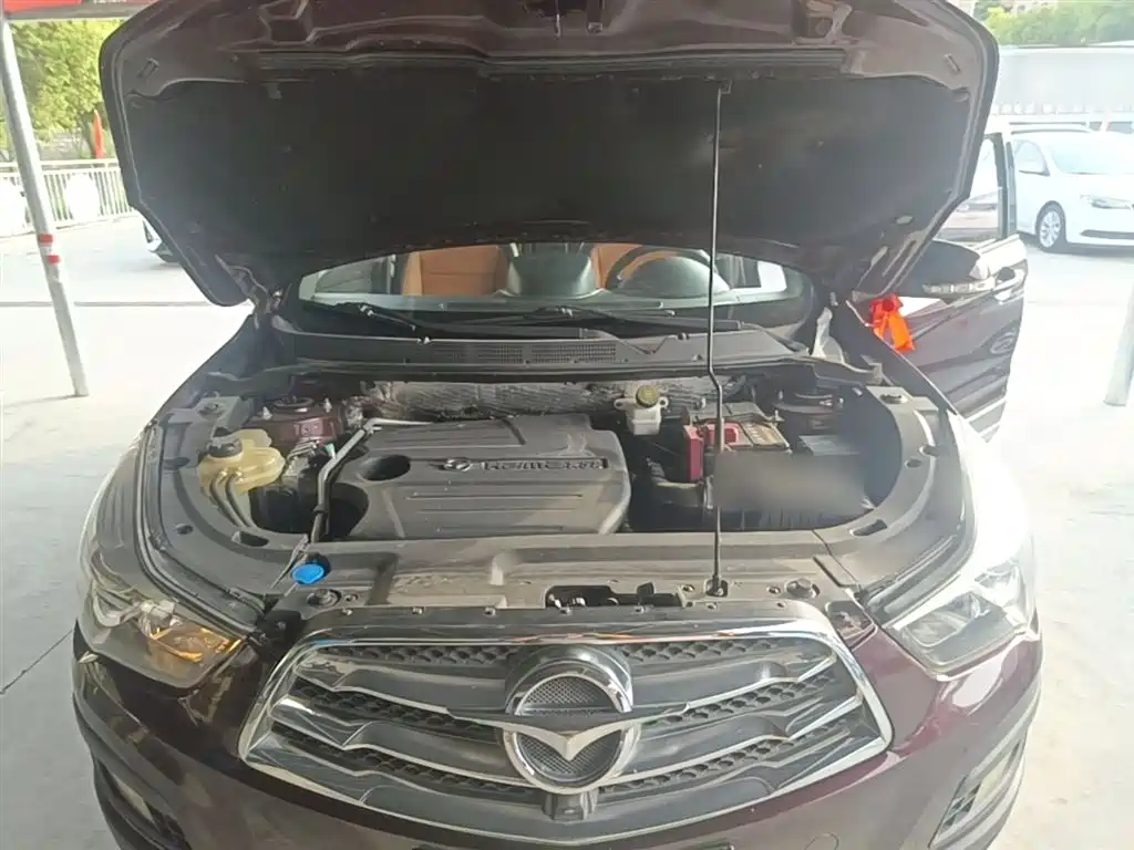 Haima Haima S5 — фото 20