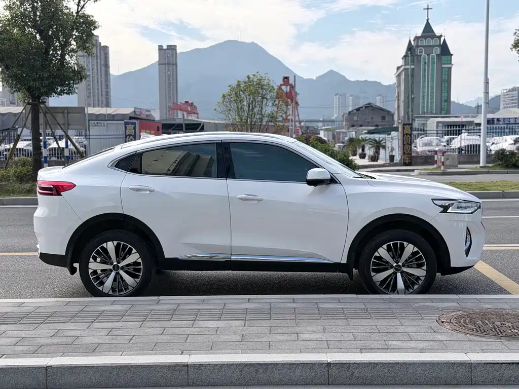 Haval F7x — фото 17