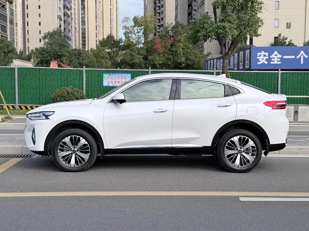 Haval F7x — фото 4