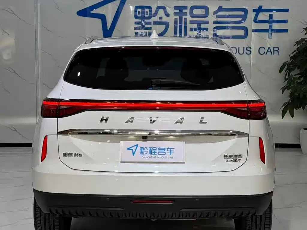 Haval H6 — фото 8