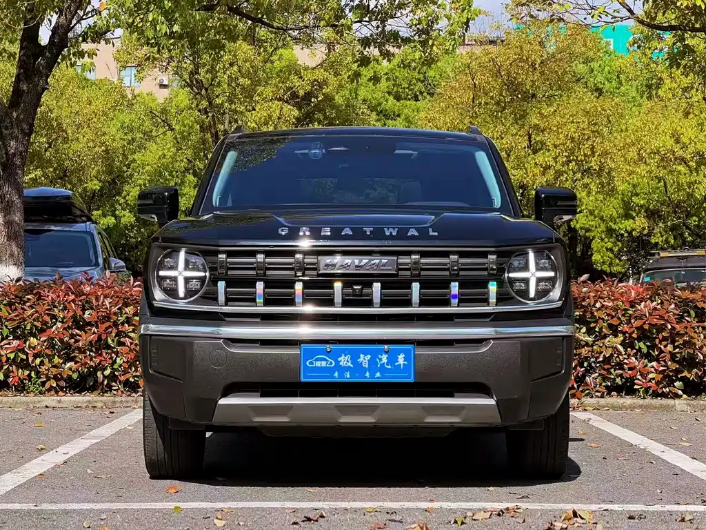 Haval Cool Dog — фото 2