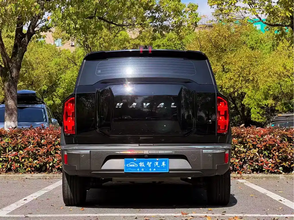 Haval Cool Dog — фото 6