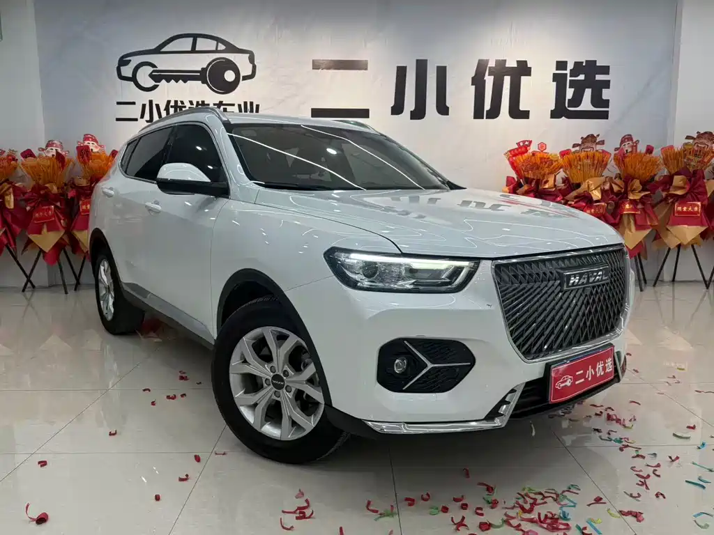 Haval H6 — фото 3