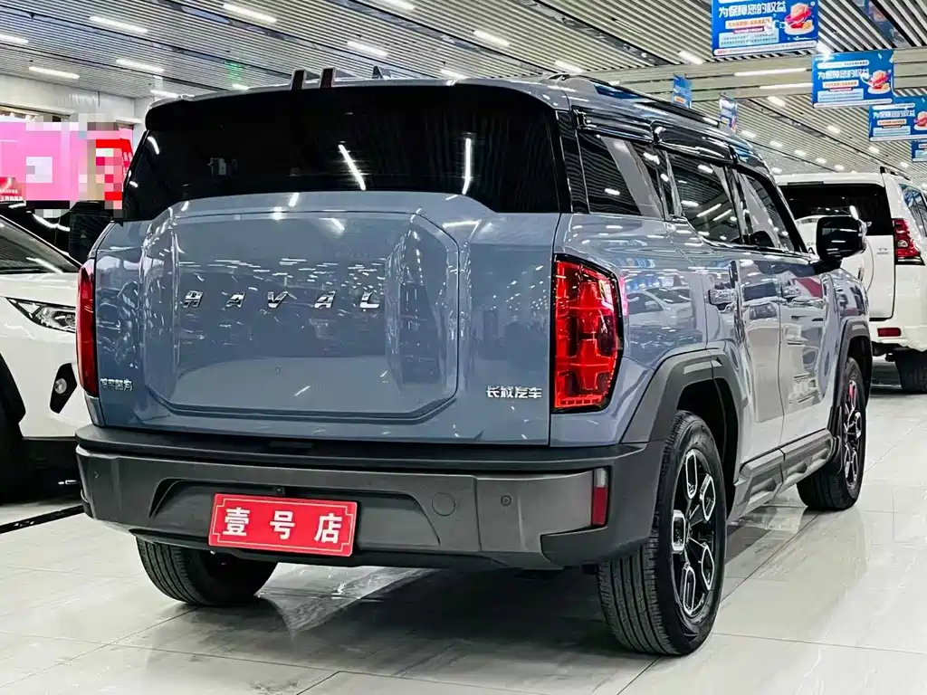 Haval Cool Dog — фото 6