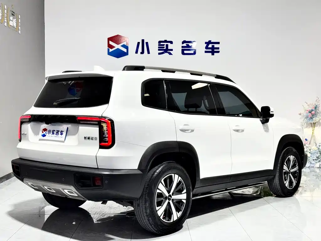 Haval Big Dog — фото 7