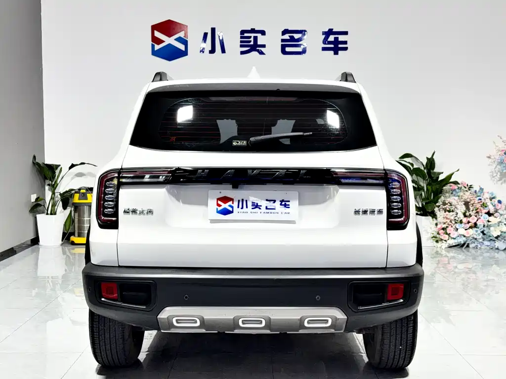 Haval Big Dog — фото 8