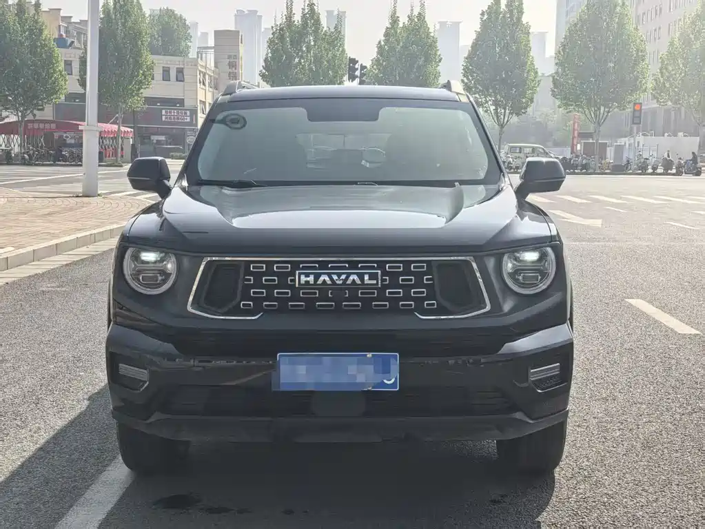 Haval Big Dog PLUS — фото 2