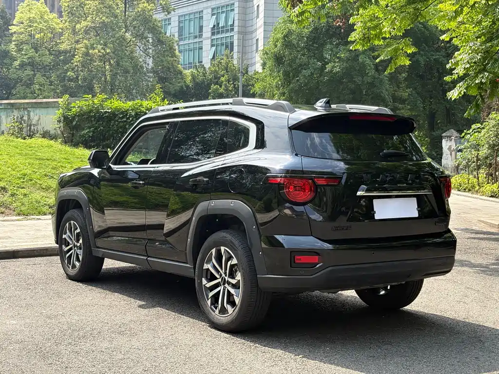 Haval Big Dog PLUS — фото 17