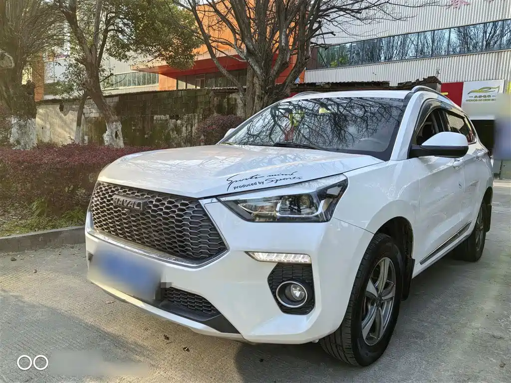 Haval H6 Coupe — фото 2