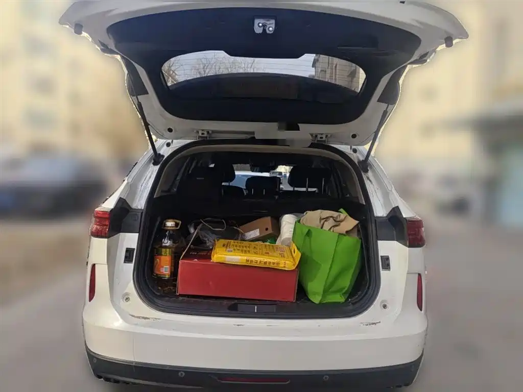 Haval H6 — фото 10