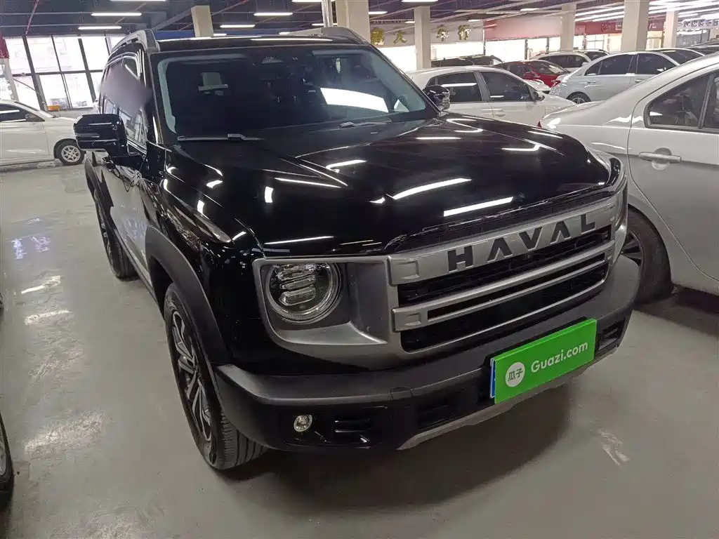 Haval Big Dog — фото 22