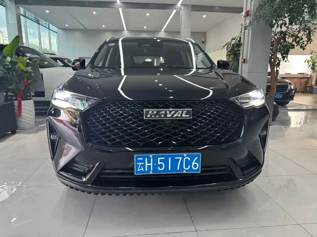 Haval H6 — фото 10