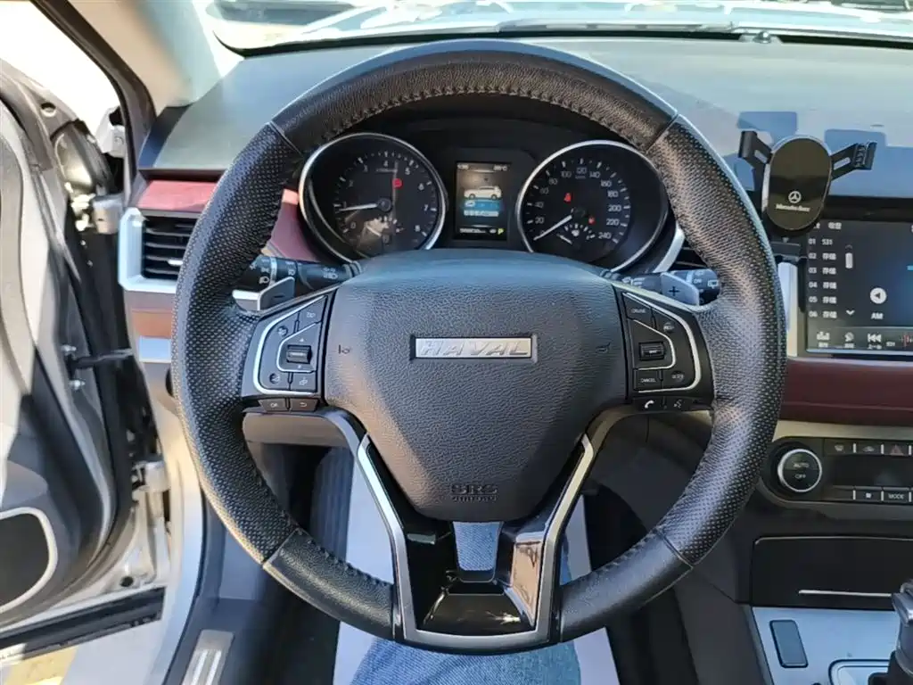 Haval H6 Coupe — фото 11
