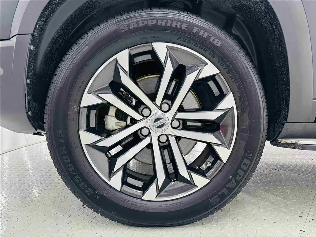 Haval Big Dog — фото 10