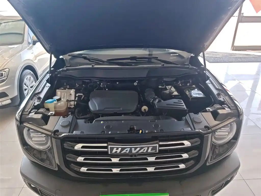 Haval Big Dog — фото 20