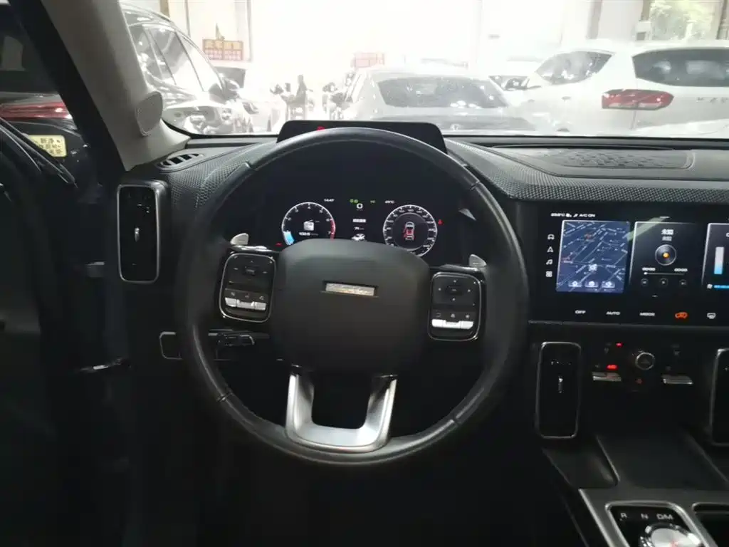 Haval Big Dog — фото 11