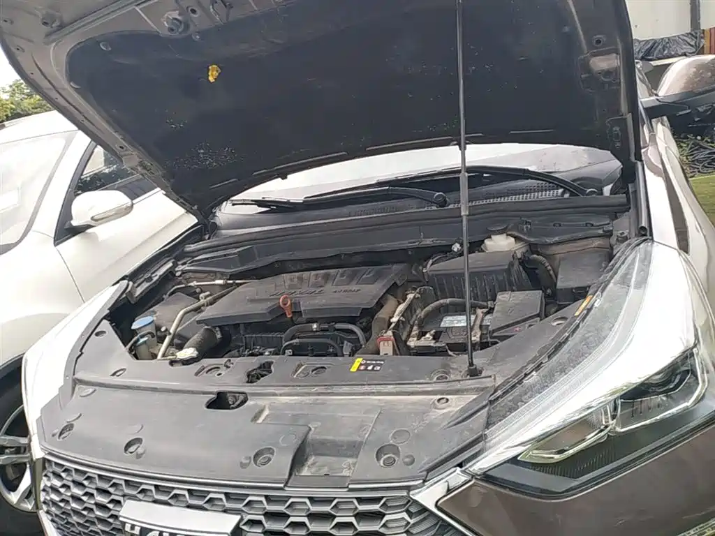 Haval H6 Coupe — фото 20