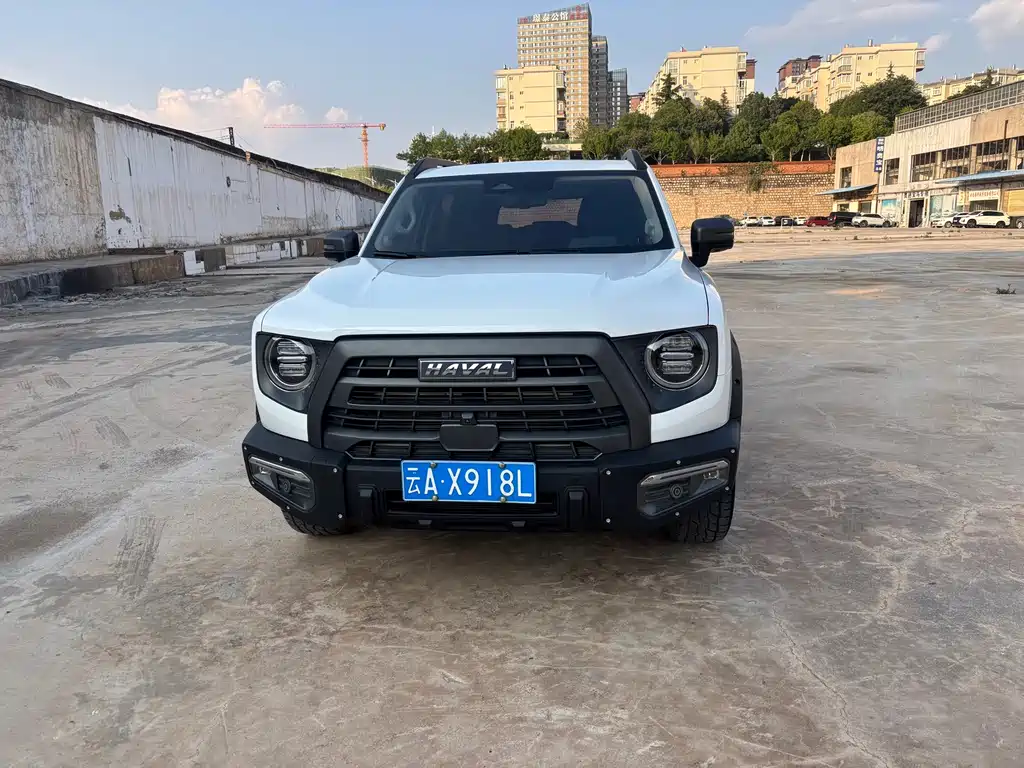 Haval Big Dog — фото 2