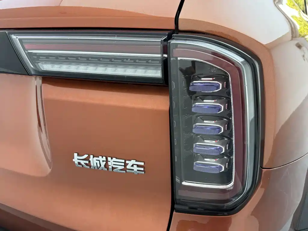 Haval Big Dog — фото 11