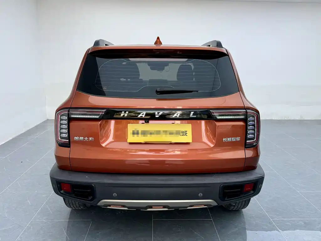 Haval Big Dog — фото 18