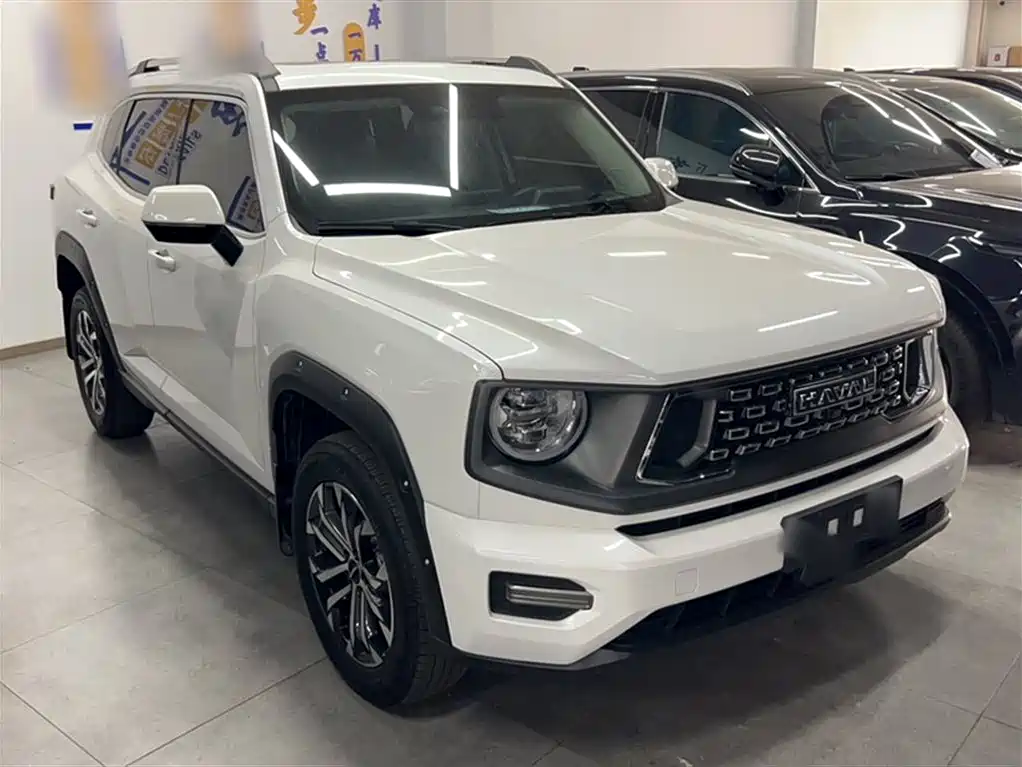 Haval Big Dog PLUS — фото 11