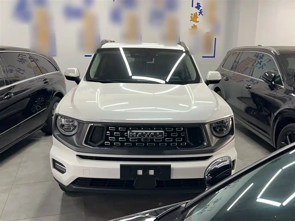 Haval Big Dog PLUS — фото 14