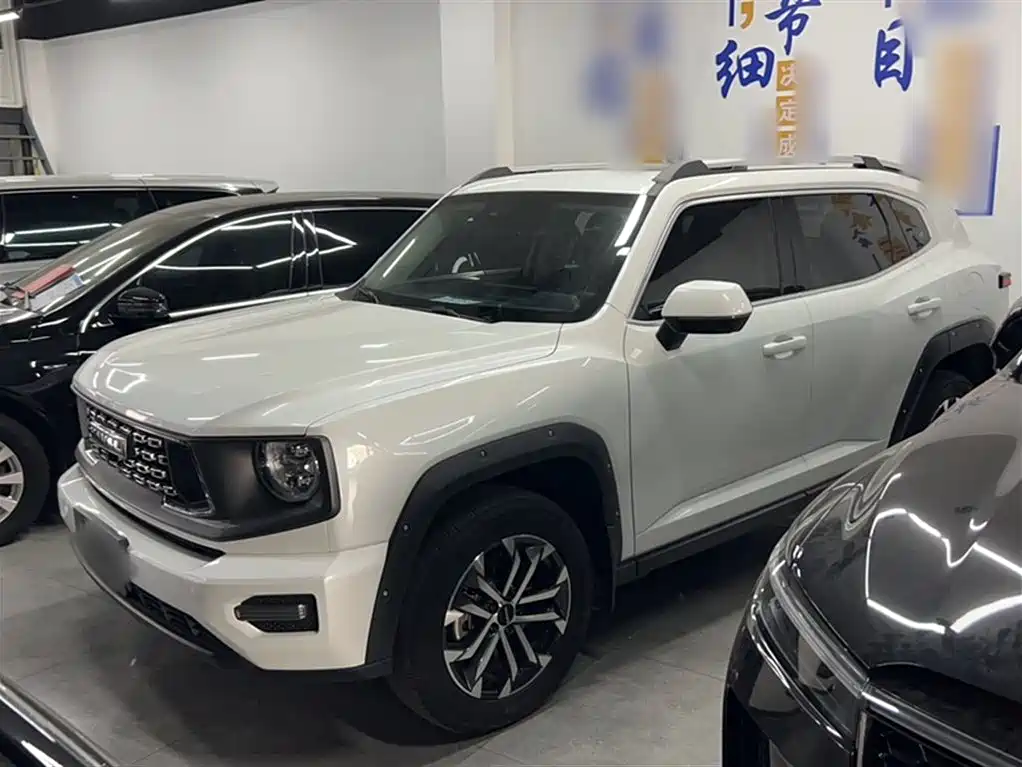Haval Big Dog PLUS — фото 10
