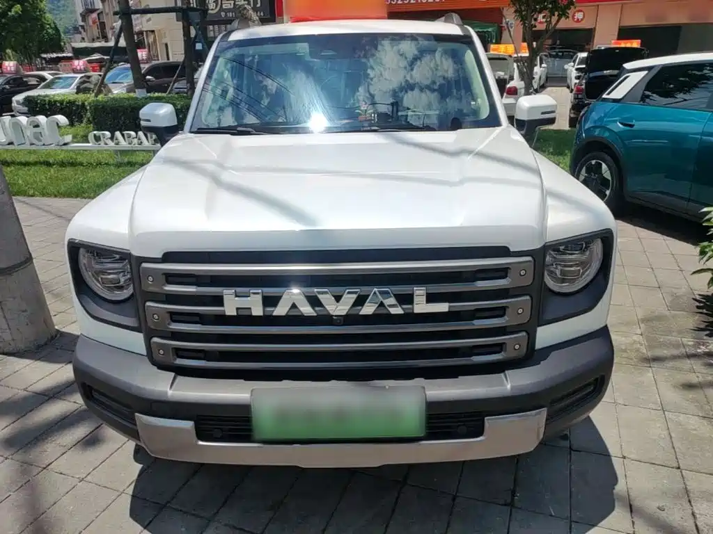 Haval Menglong New Energy — фото 3