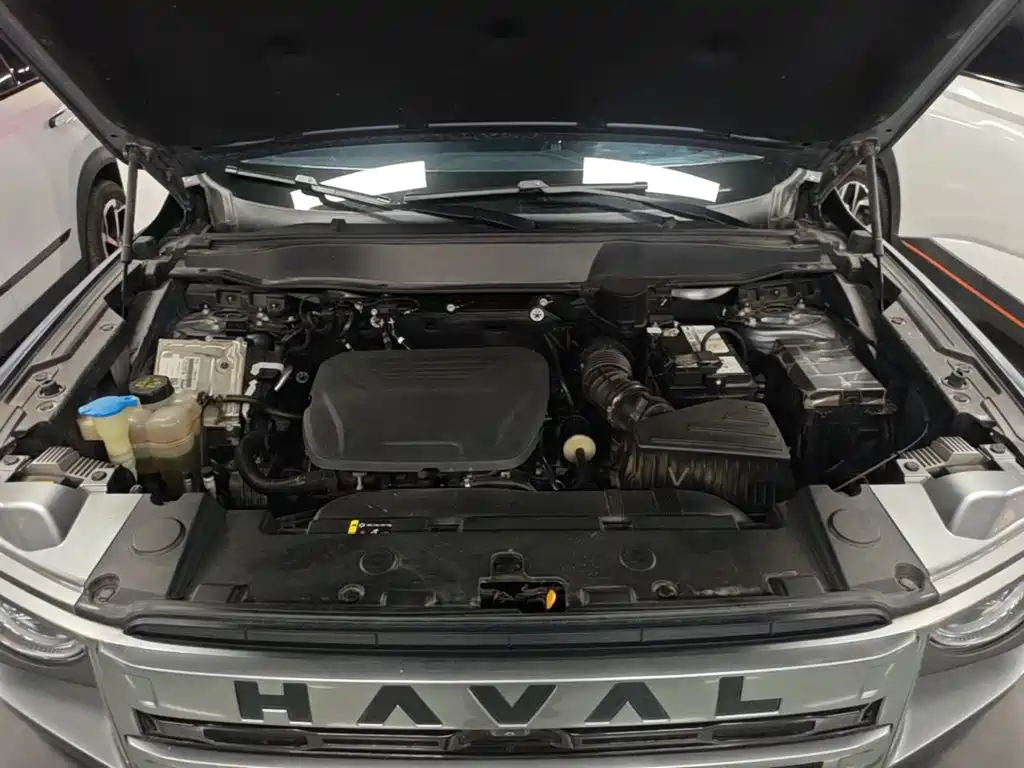 Haval Big Dog — фото 20