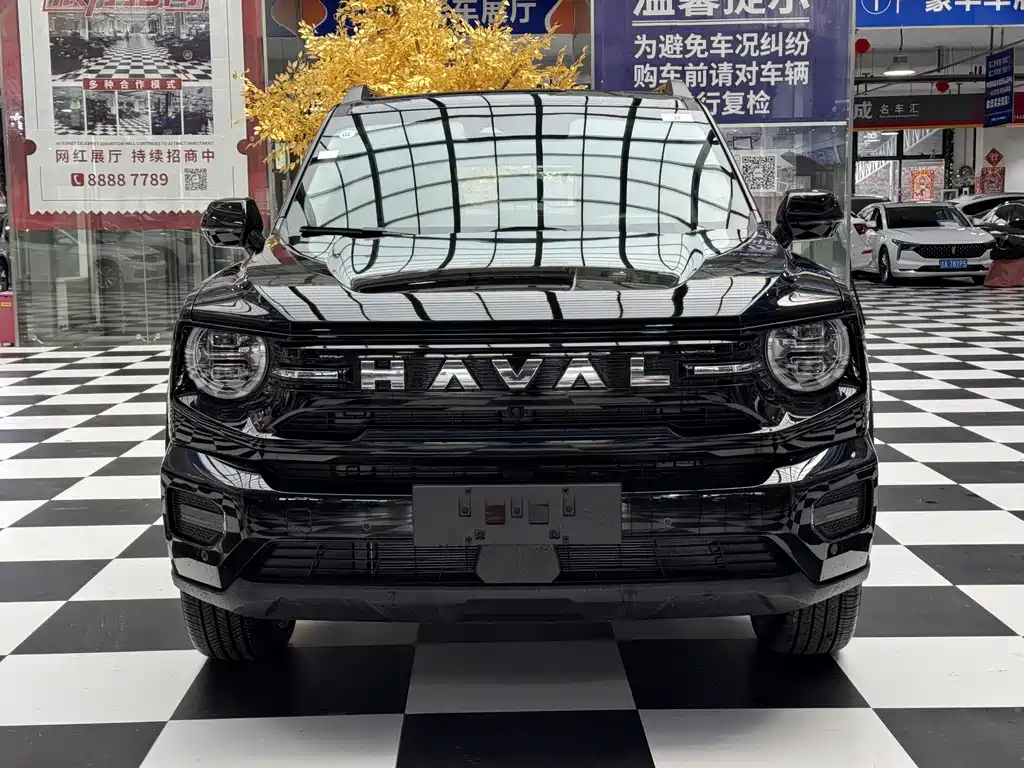 Haval Big Dog PLUS New Energy — фото 2