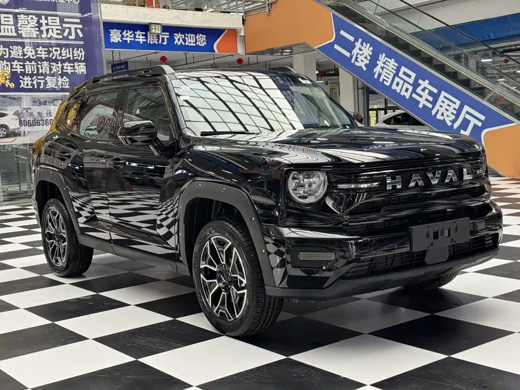 Haval Big Dog PLUS New Energy — фото 3