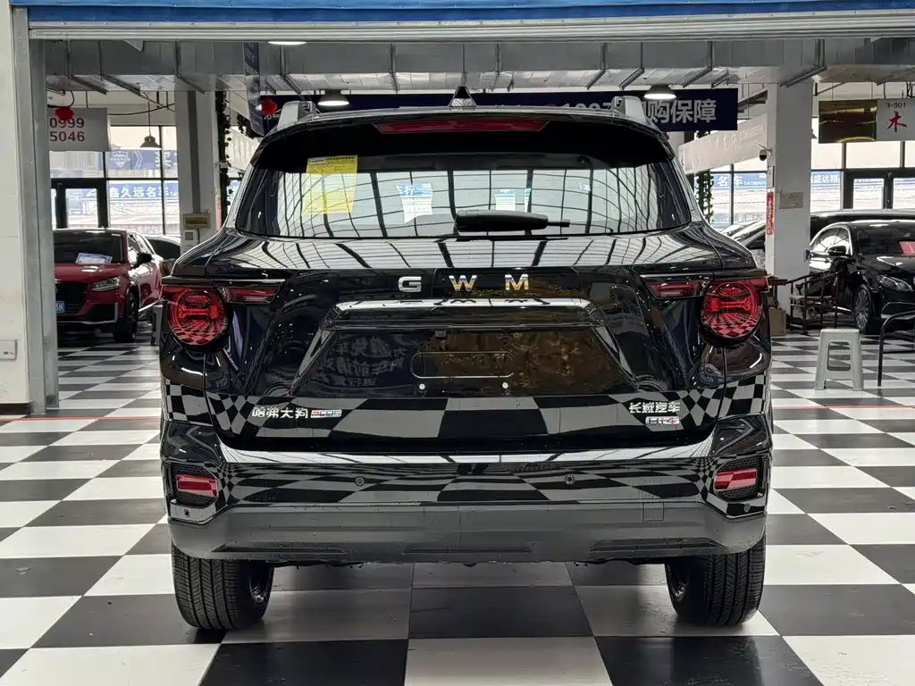 Haval Big Dog PLUS New Energy — фото 8