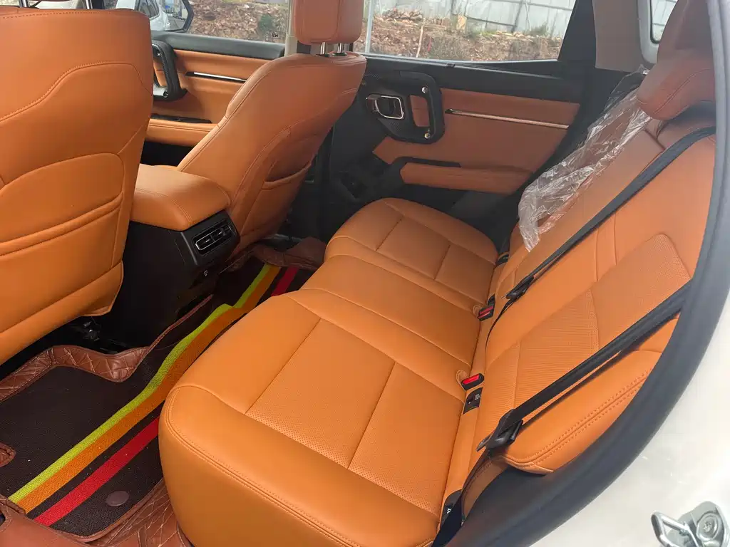Haval Big Dog PLUS New Energy — фото 11