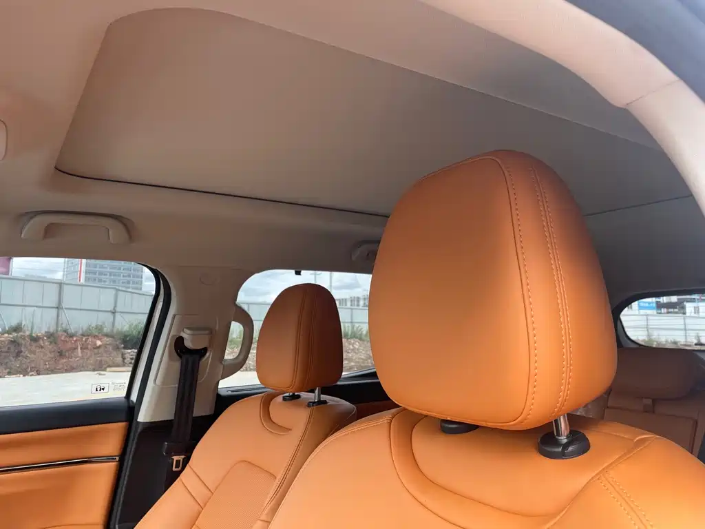 Haval Big Dog PLUS New Energy — фото 14
