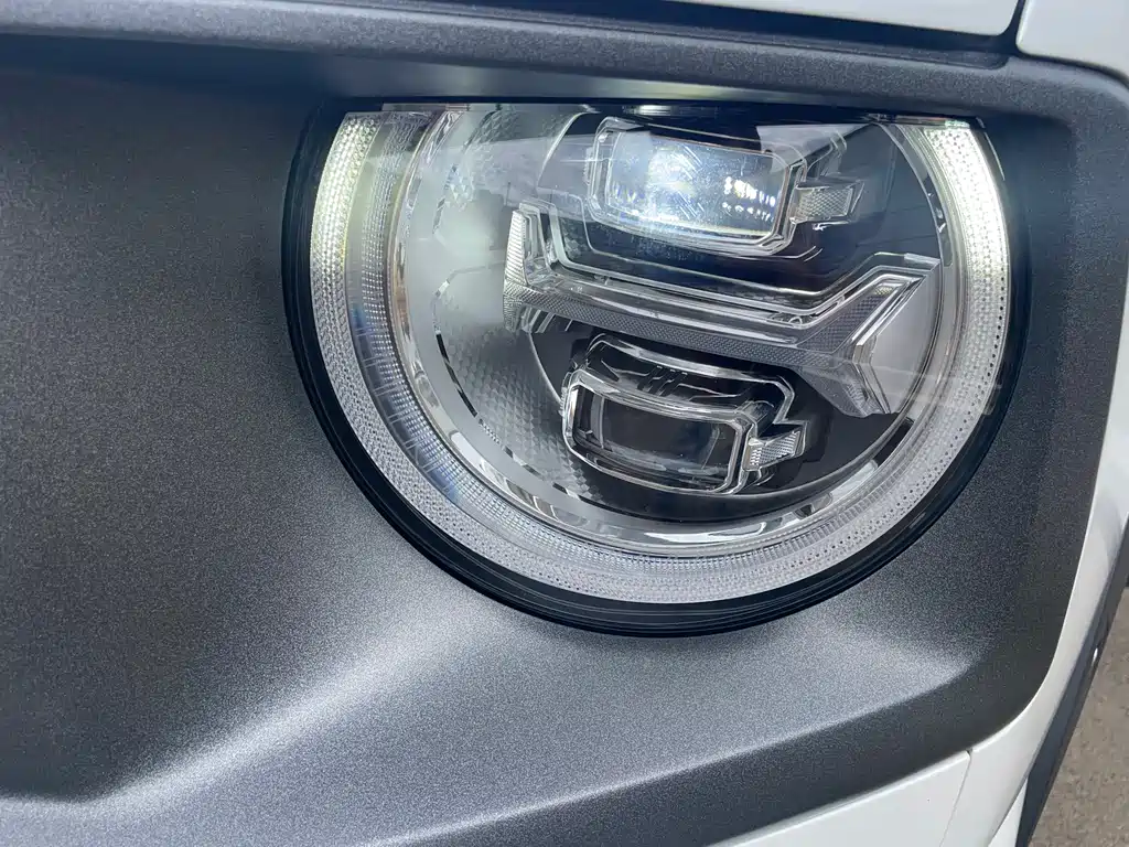 Haval Big Dog PLUS New Energy — фото 19