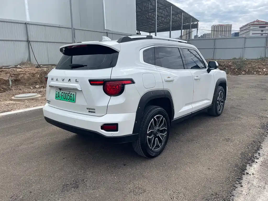 Haval Big Dog PLUS New Energy — фото 5